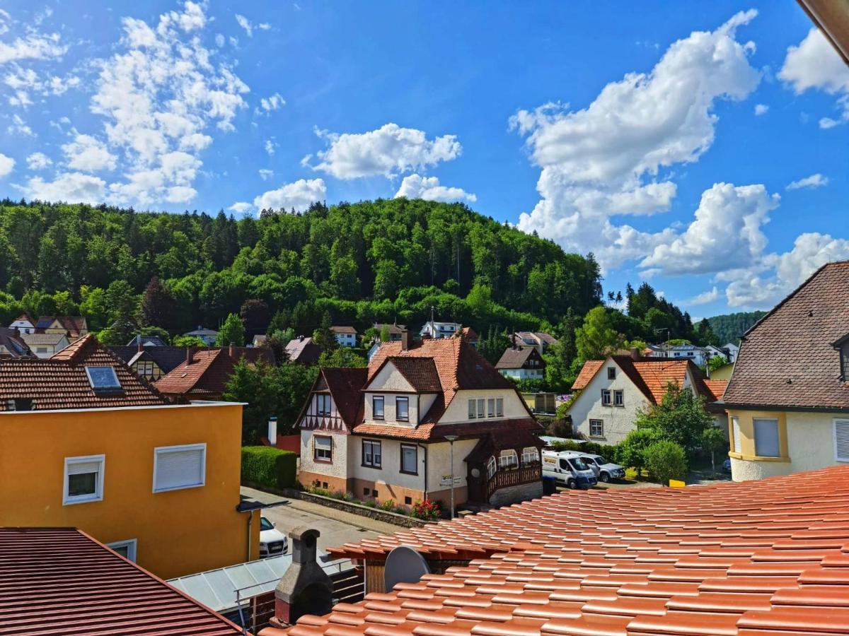 Pension Transilvania Immendingen エクステリア 写真