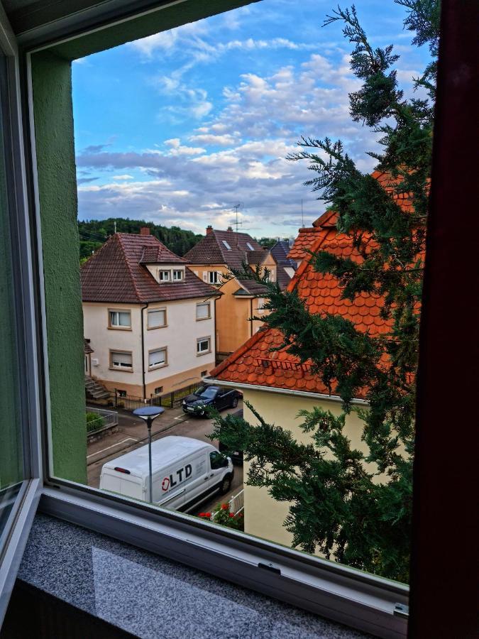 Pension Transilvania Immendingen エクステリア 写真