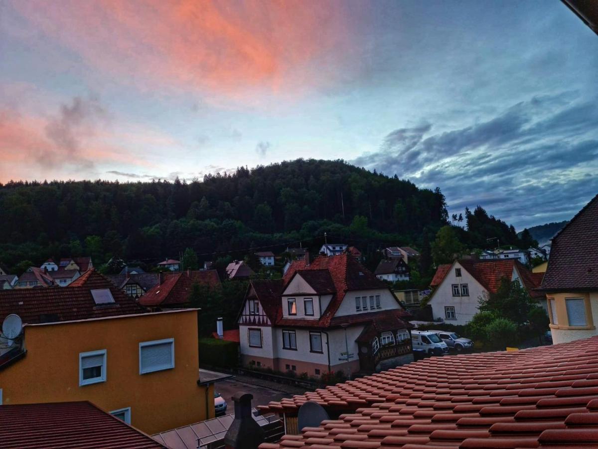 Pension Transilvania Immendingen エクステリア 写真