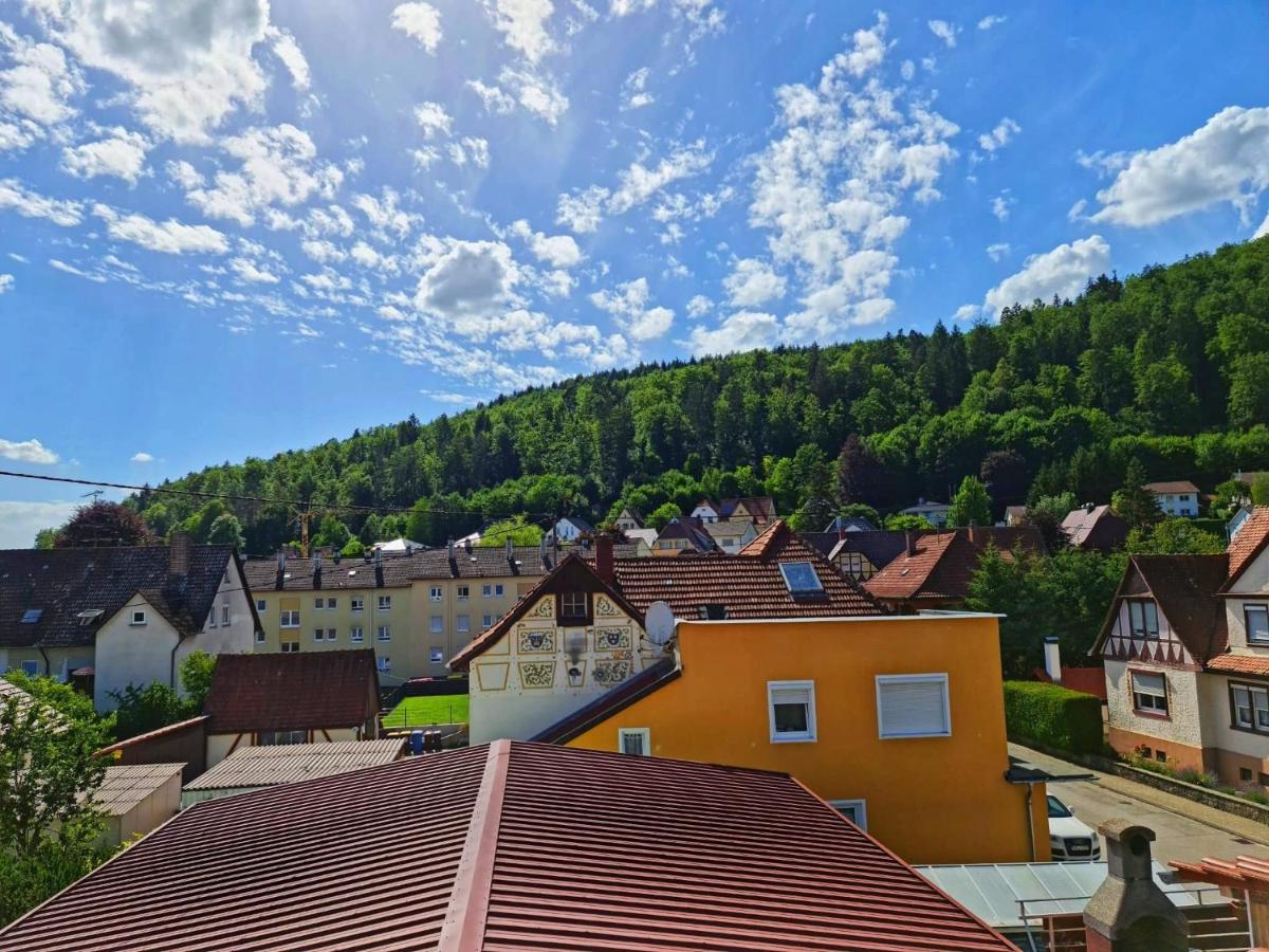 Pension Transilvania Immendingen エクステリア 写真