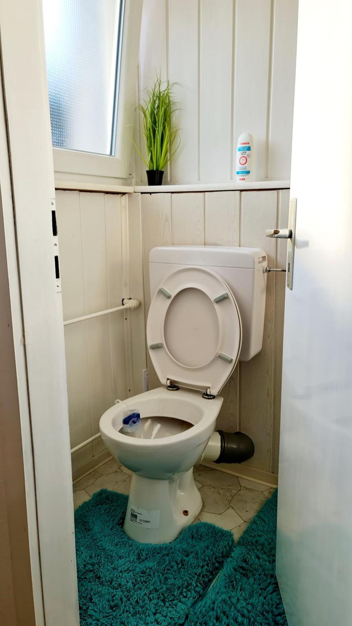 Pension Transilvania Immendingen 部屋 写真